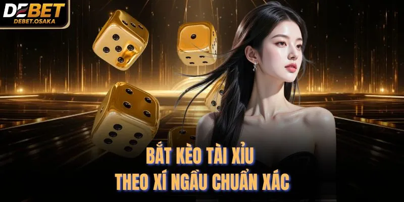 Bắt kèo tài xỉu theo xí ngầu chuẩn xác